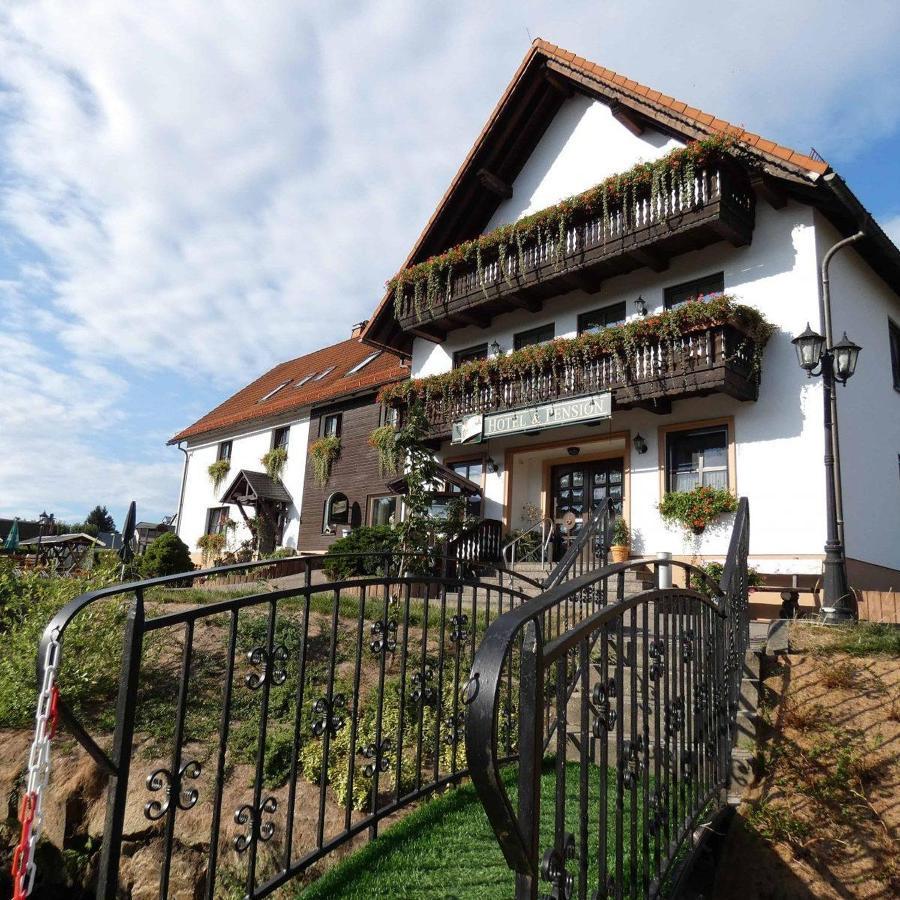 Hotel-Pension Flechsig Hartmannsdorf bei Kirchberg Eksteriør bilde